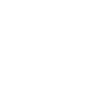 icon1