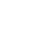 icon1
